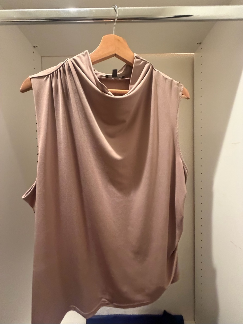 Adrianna Papell Sleeveless Draped Top in Dusty Rose